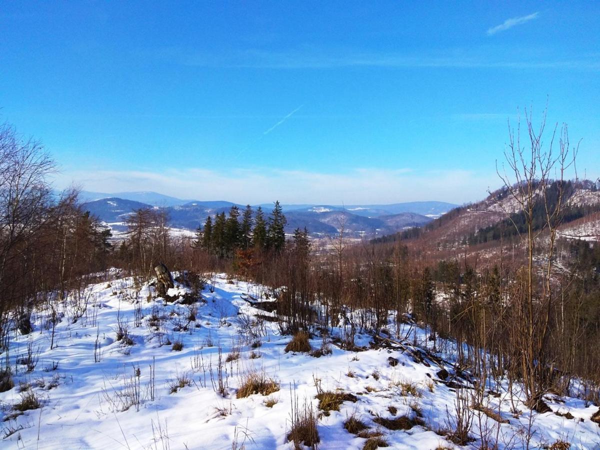 Pod Klonem Z Balia I Sauna Lubawka Exterior foto